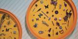 HMNS_Crystal Award Entry - 1